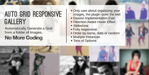 226 Auto Grid Responsive Gallery